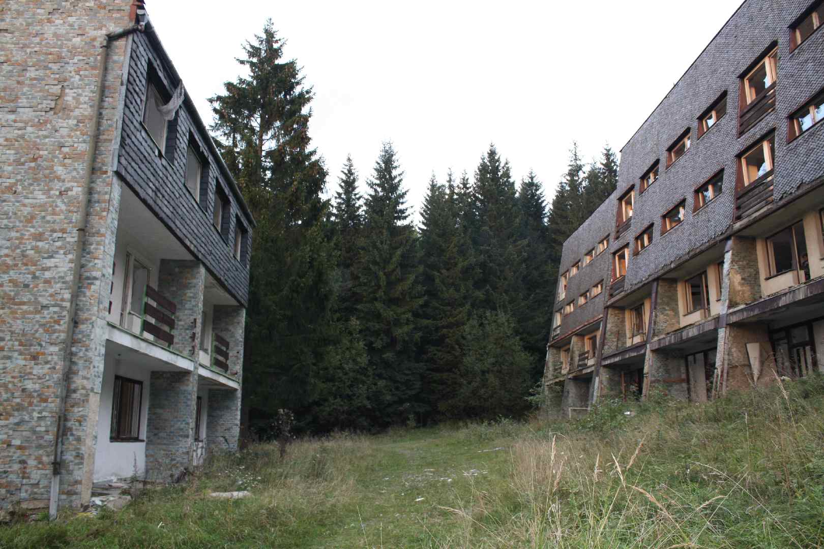 IMG_6147